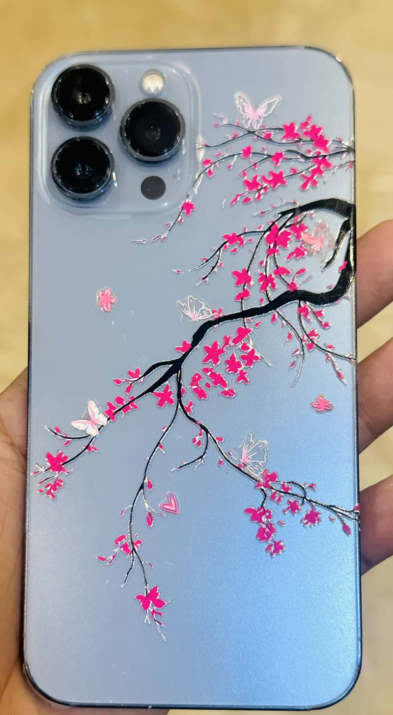 Apple iPhone 13 Pro Max 1