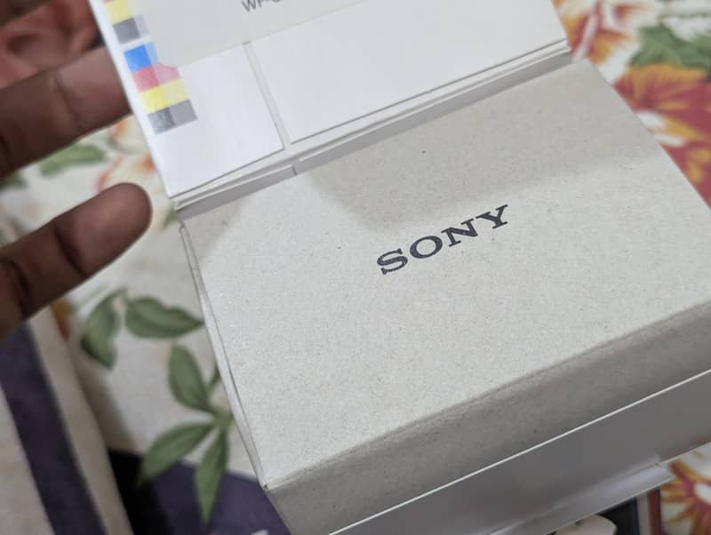Sony Earbuds 2