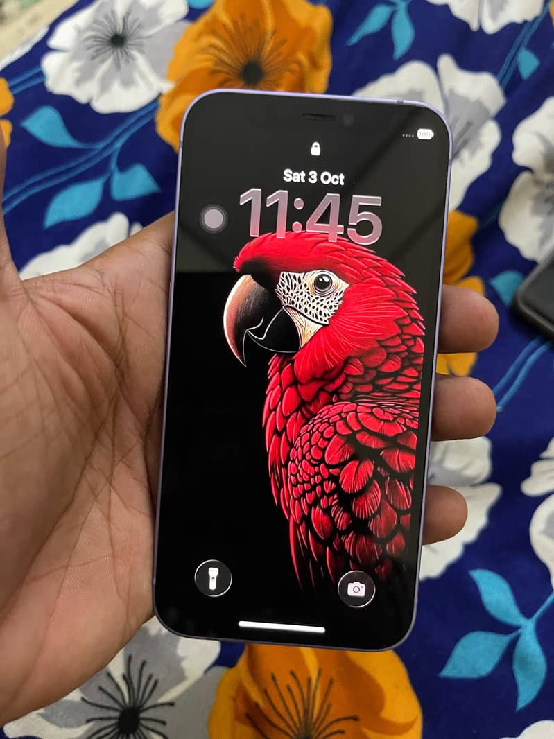 Apple iPhone 12 2