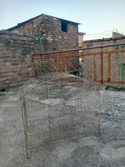 pinjra in good condition
