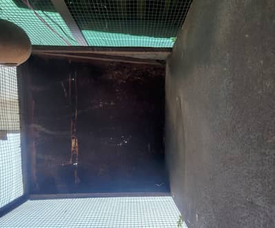 Iron Cage for sale