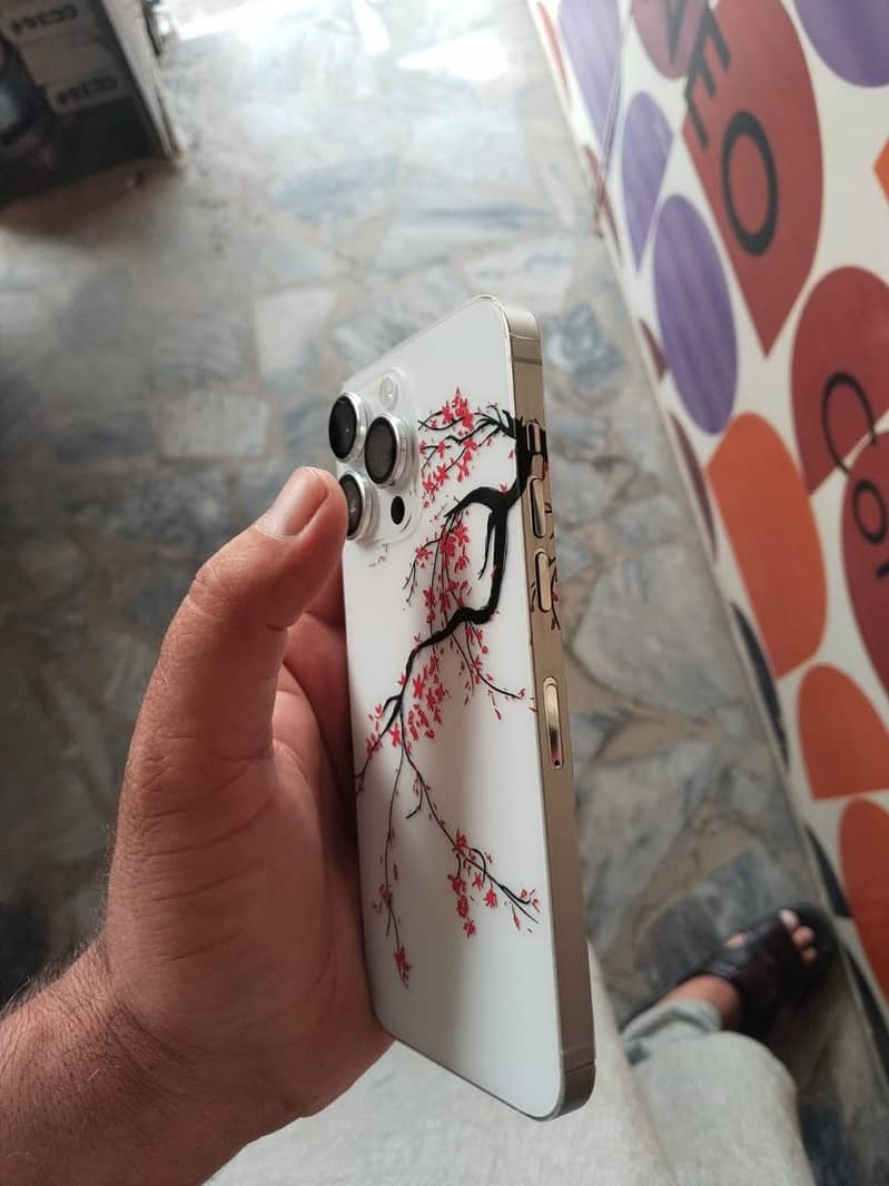 Apple iPhone 14 Pro Max 2