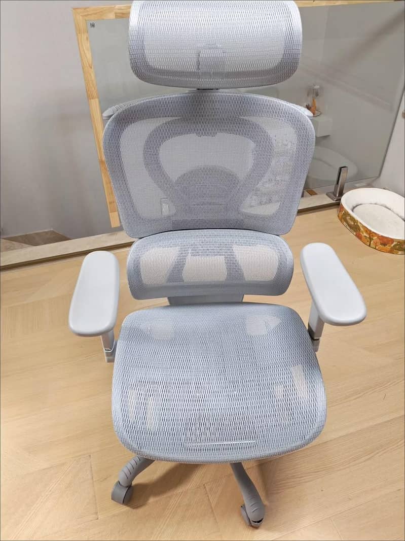 study chair 1
