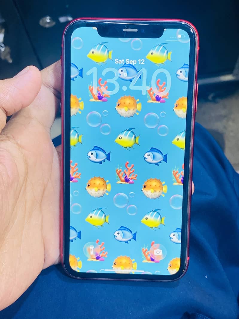 Apple iPhone 11 2