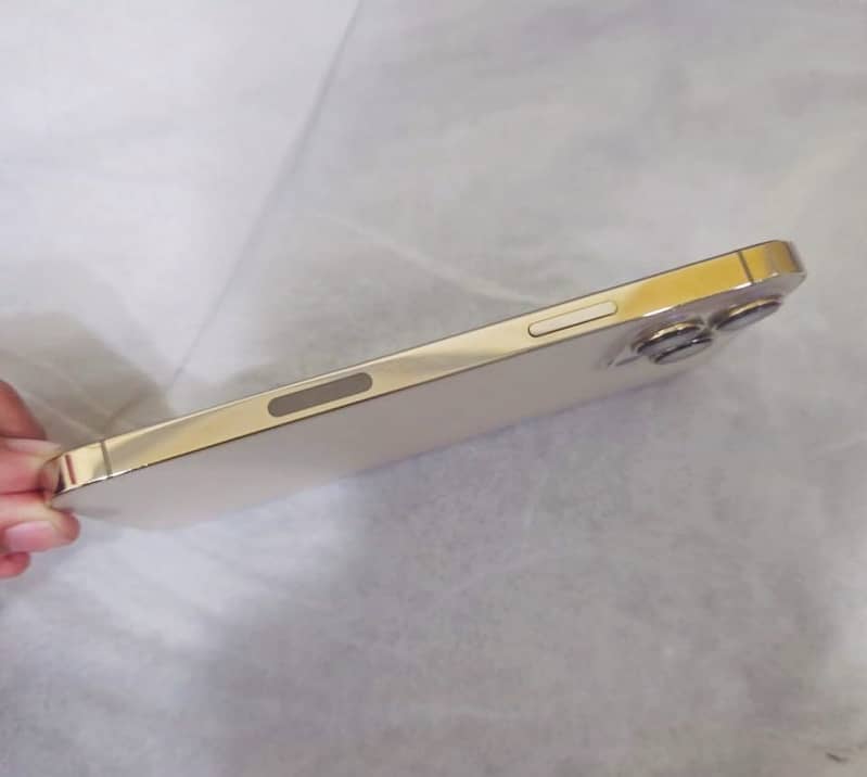 Apple iPhone 13 Pro Max 0