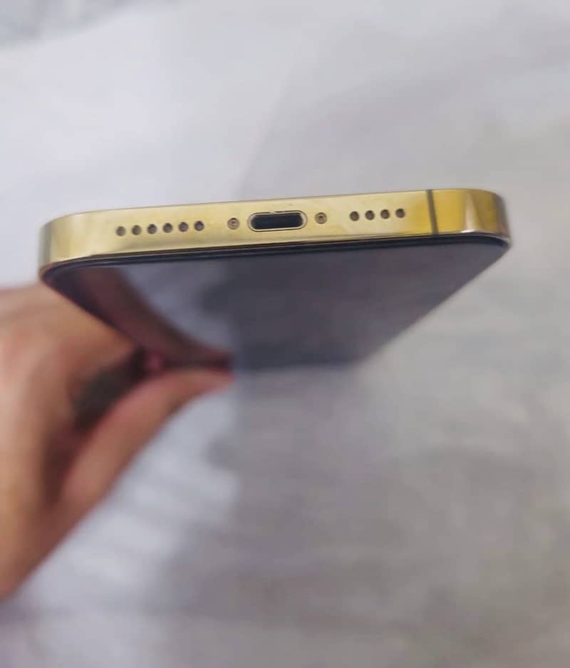 Apple iPhone 13 Pro Max 1