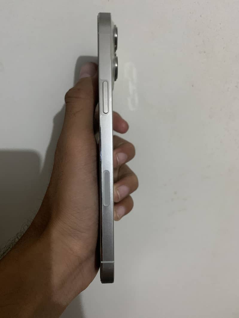 Apple iPhone 13 Pro Max 2