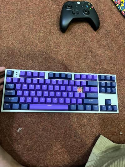 Gaming Keyboard | RGB Backlit | Compact Design | Purple Keycaps