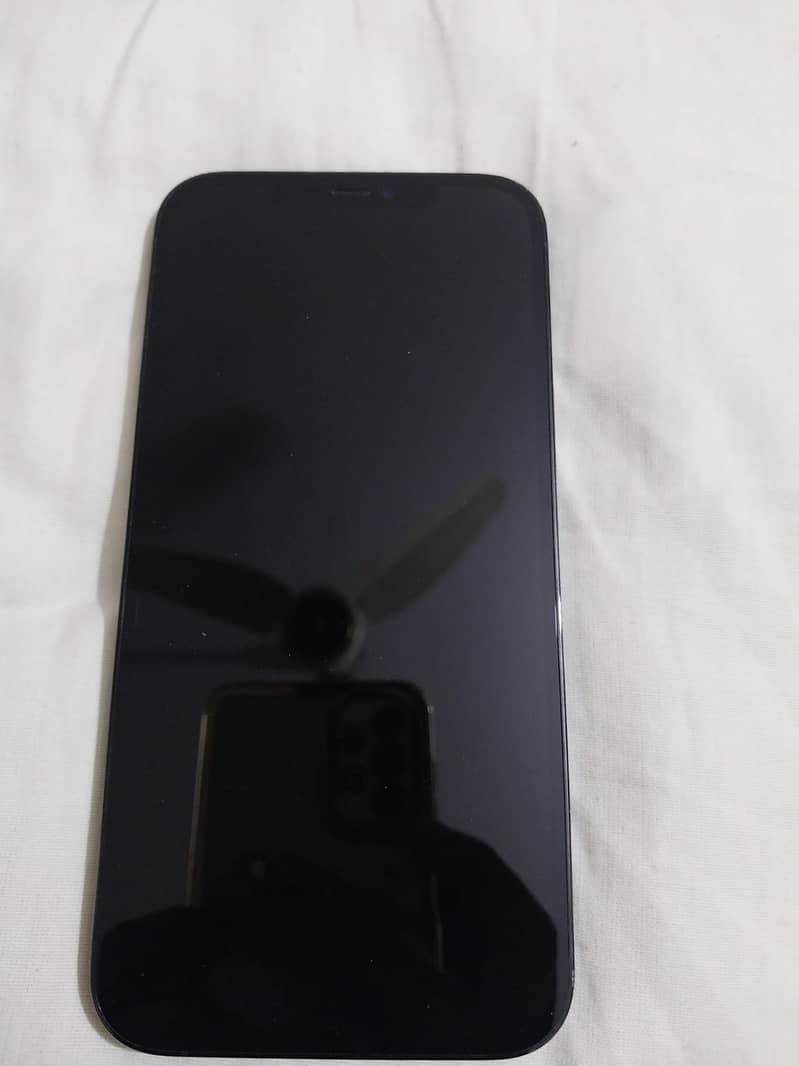 Apple iPhone 12 Pro Max 1