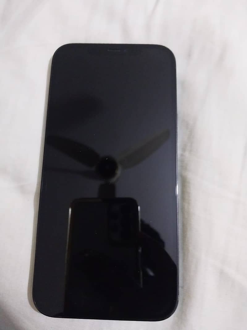 Apple iPhone 12 Pro Max 2