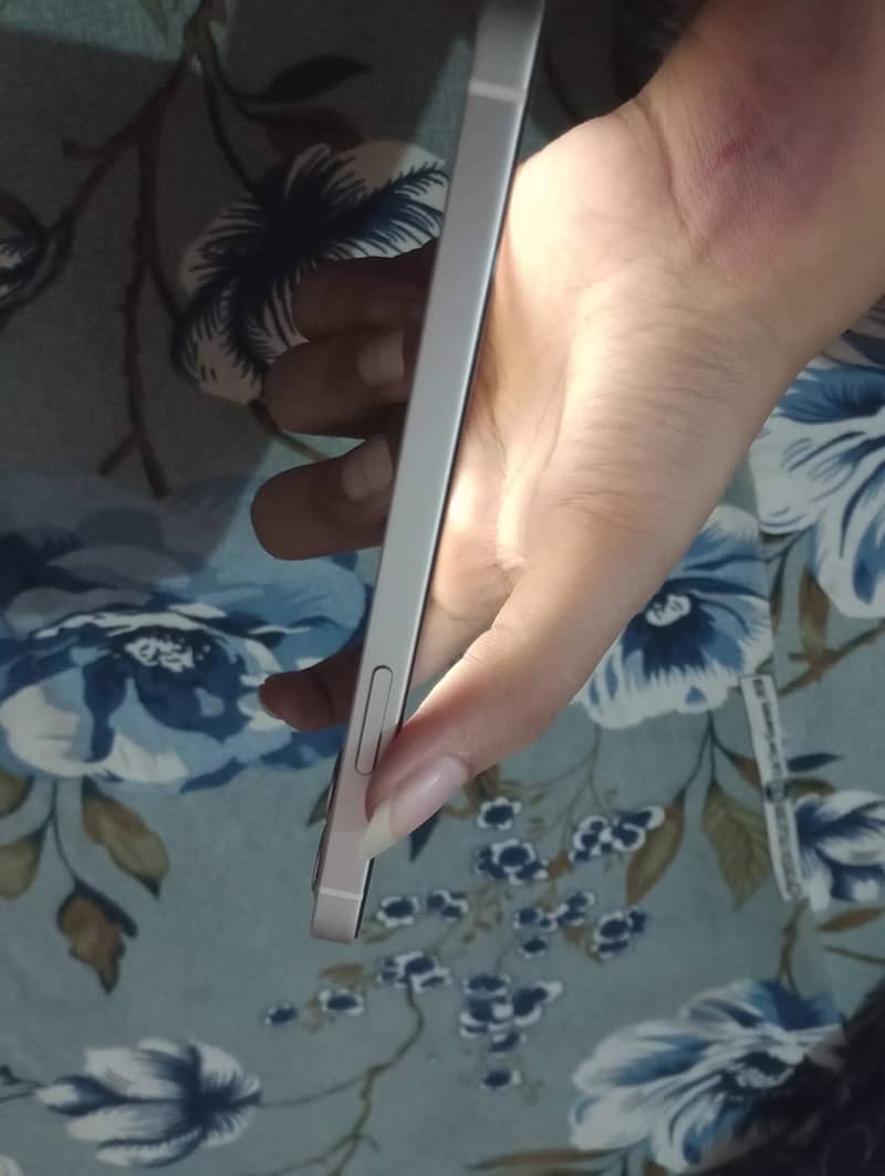 Apple iPhone 12 1