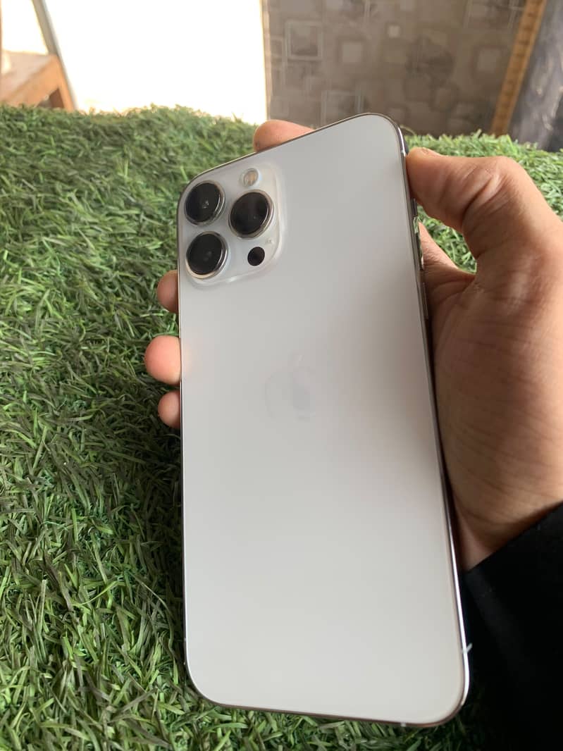Apple iPhone 13 Pro Max 1