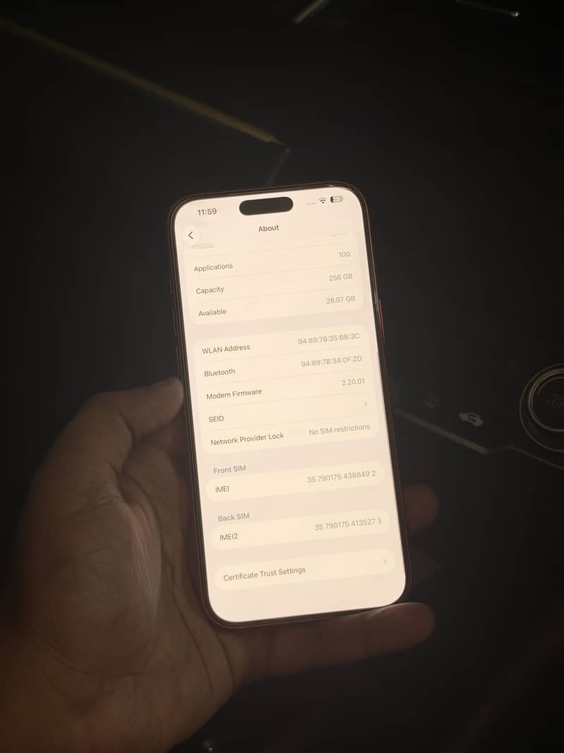 Apple iPhone 17 Pro Max 0