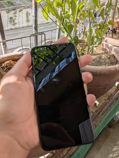 Google Pixel 4a 5g Official PTA Approved
