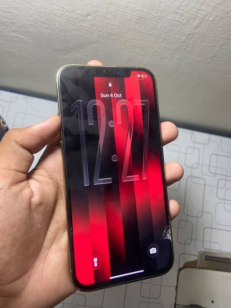 Apple iPhone 12 Pro Max 1
