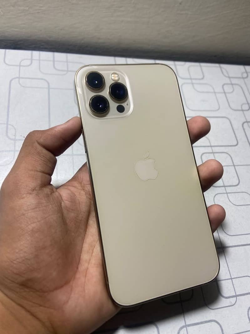 Apple iPhone 12 Pro Max 10