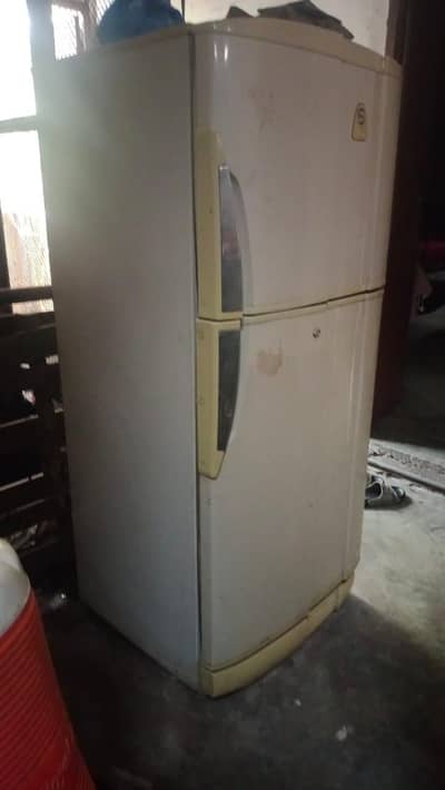 Full size Fridge | Pel Fridge