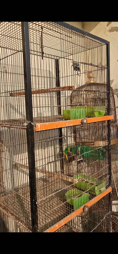 cages