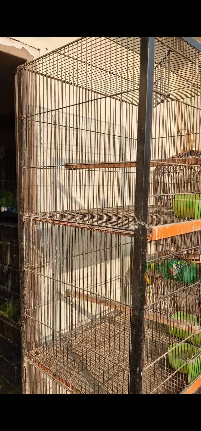cages 2