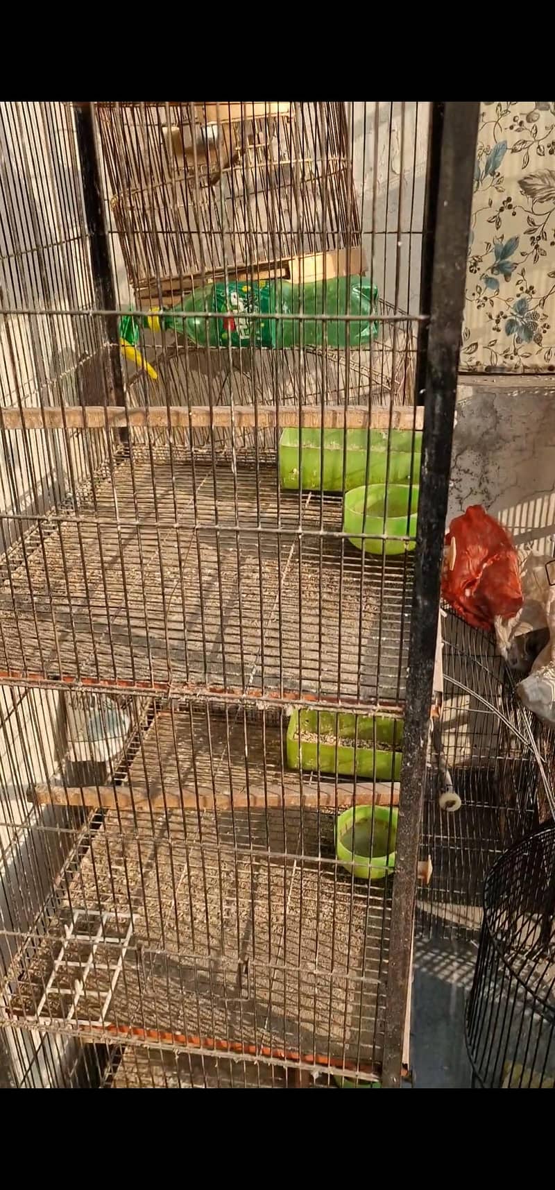 cages 4