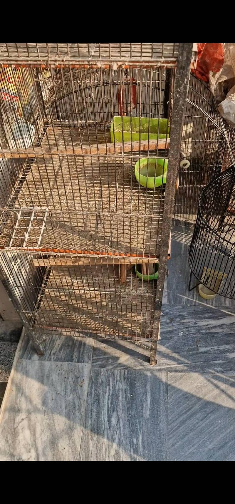 cages 5