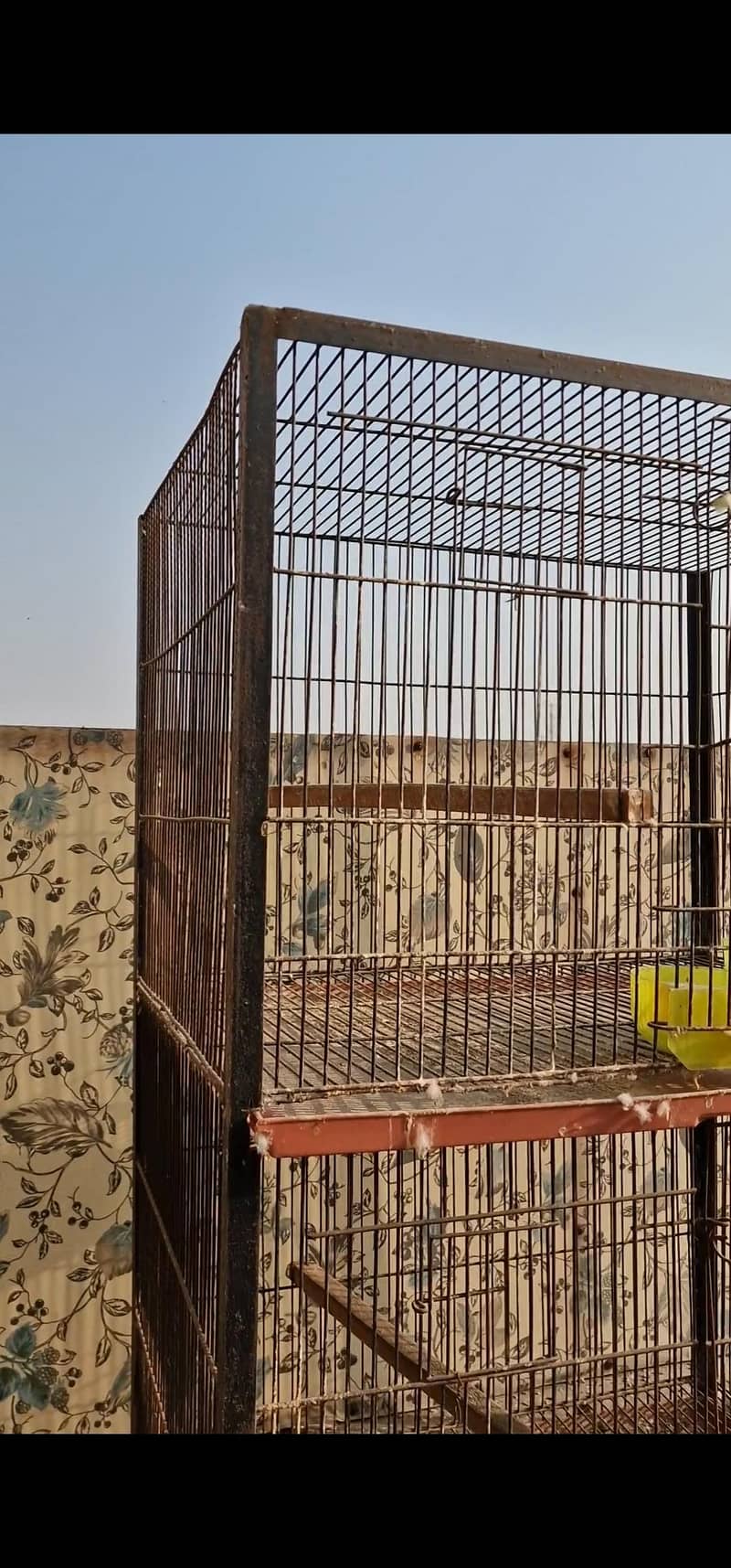 cages 6