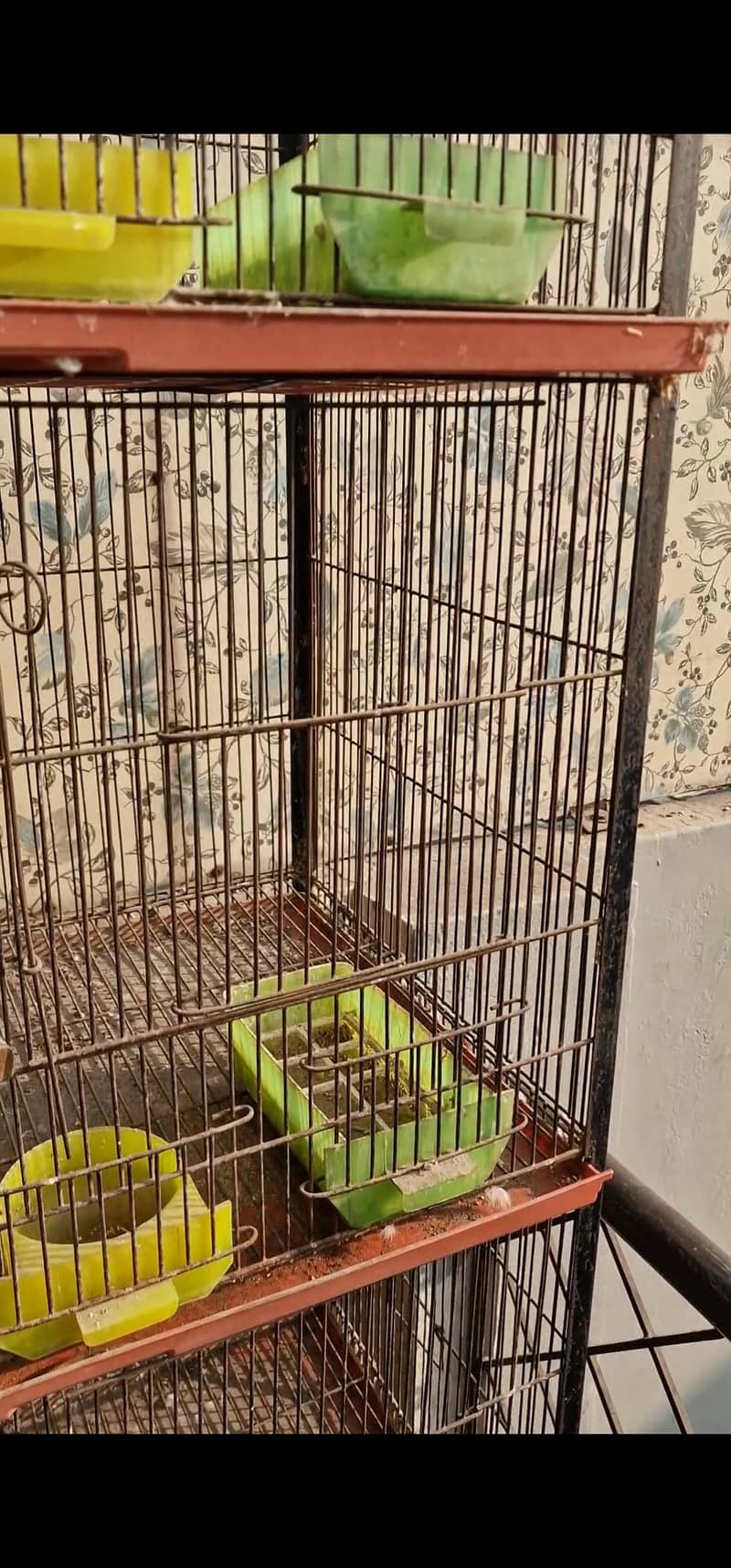 cages 7