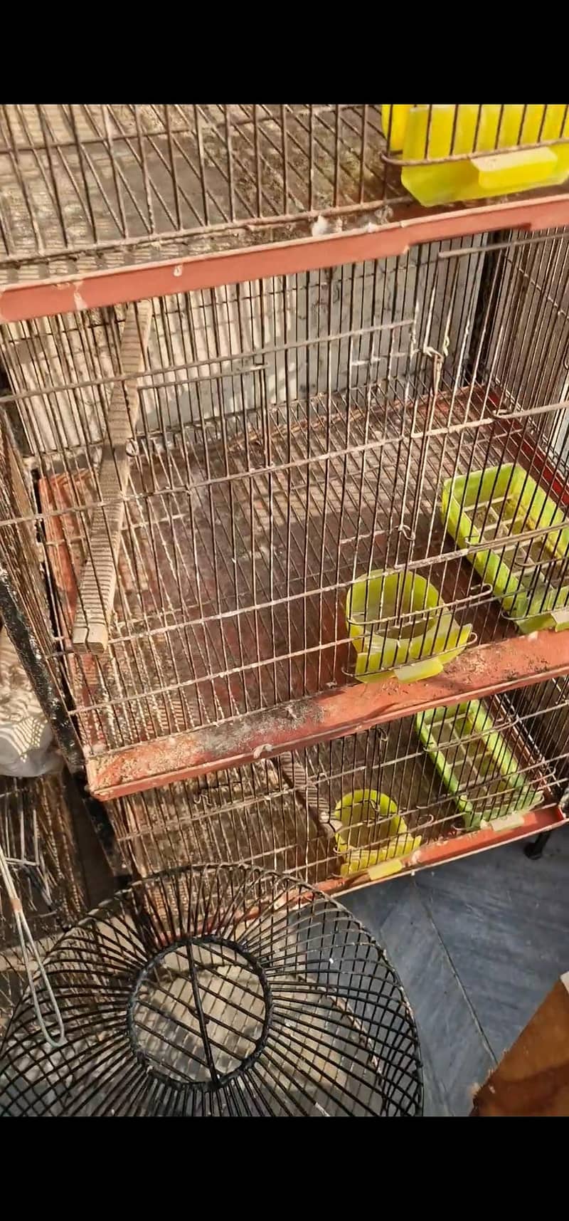 cages 8