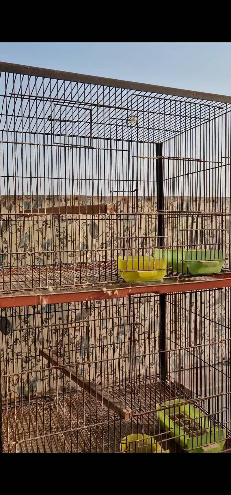 cages 9