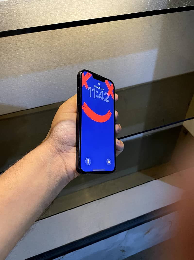 Apple iPhone 13 0