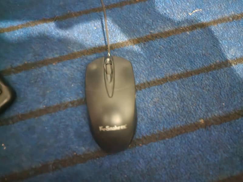 paintium . d 5