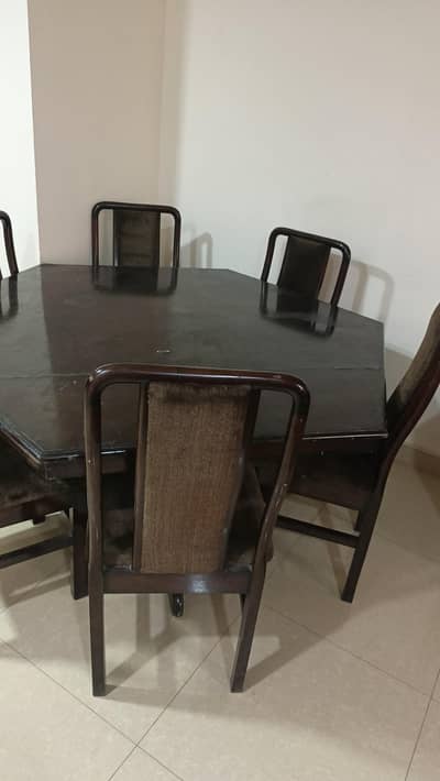 pure diyar wood chairs