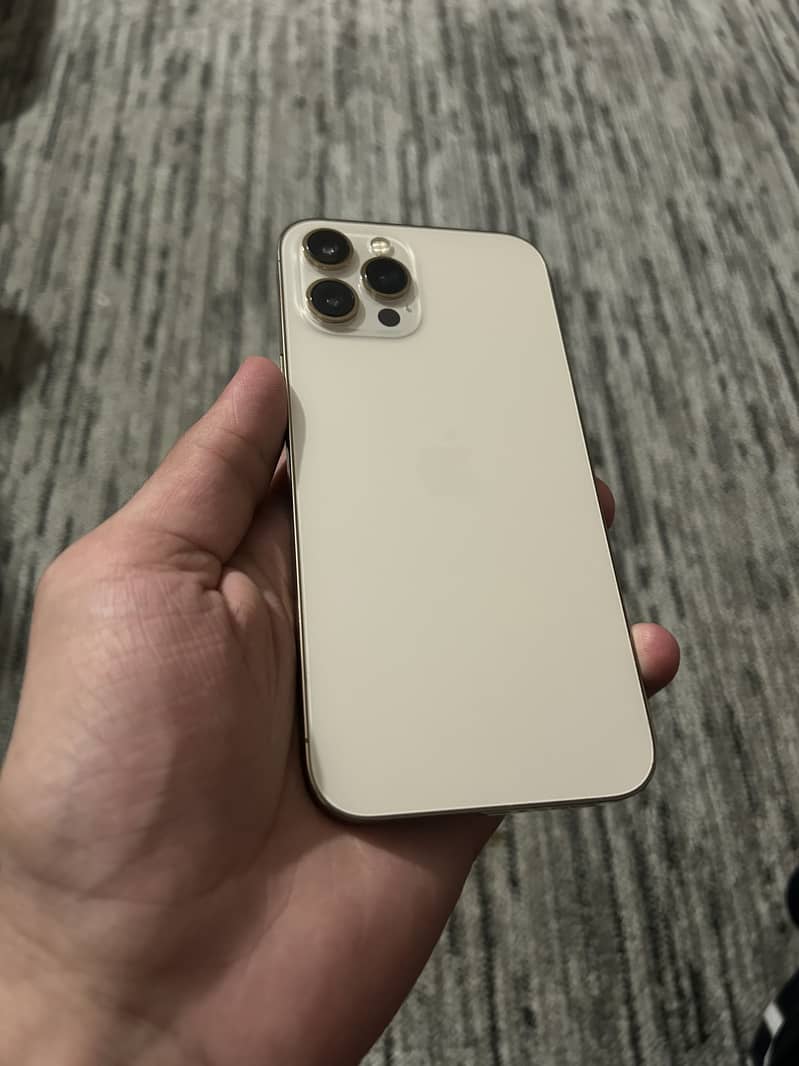 Apple iPhone 12 Pro Max 1