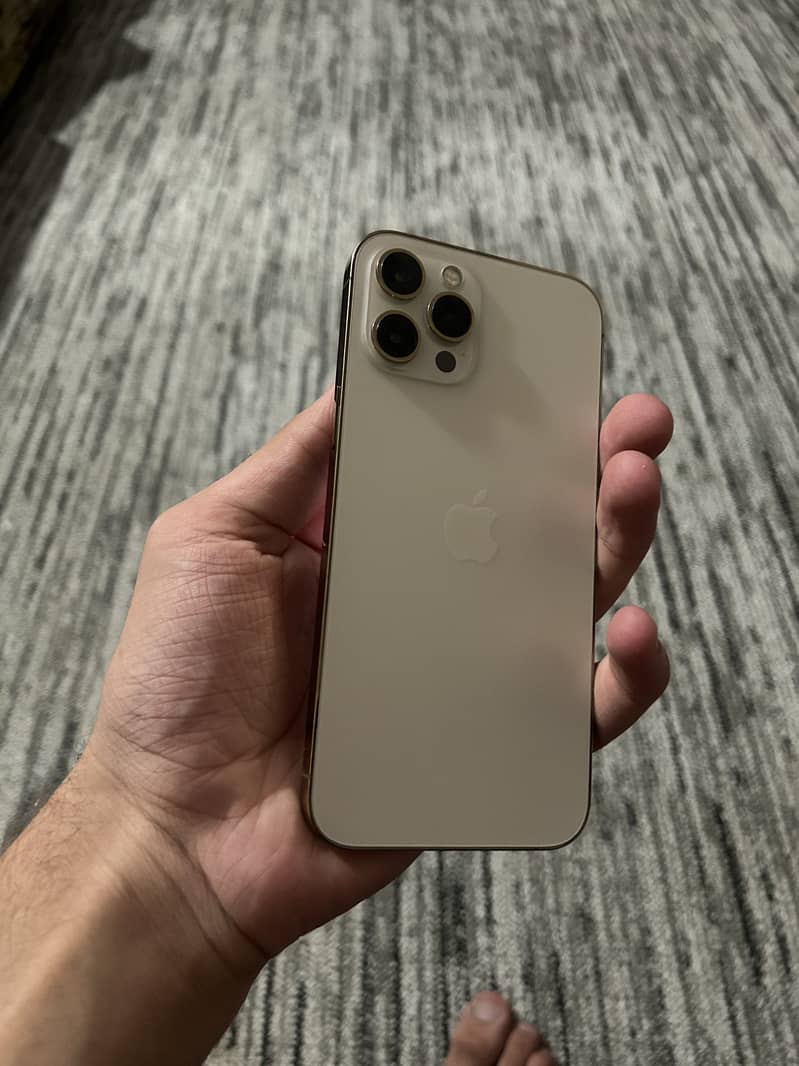 Apple iPhone 12 Pro Max 2