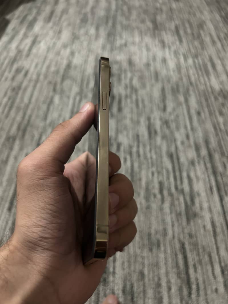 Apple iPhone 12 Pro Max 3