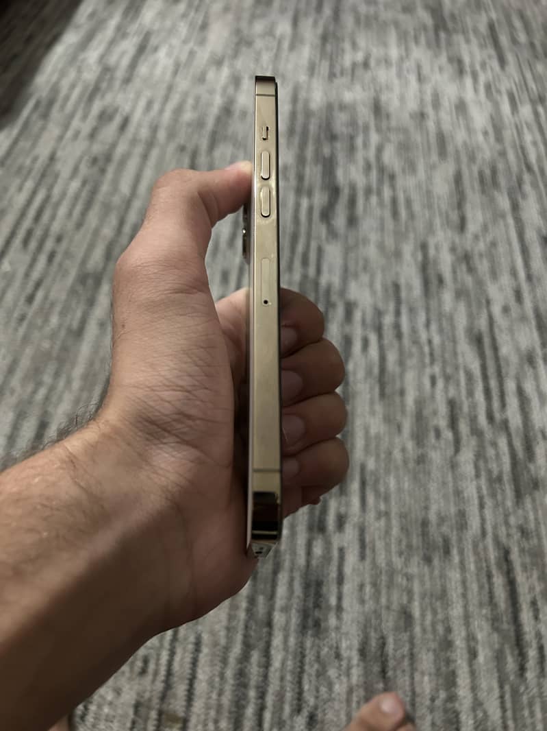 Apple iPhone 12 Pro Max 4