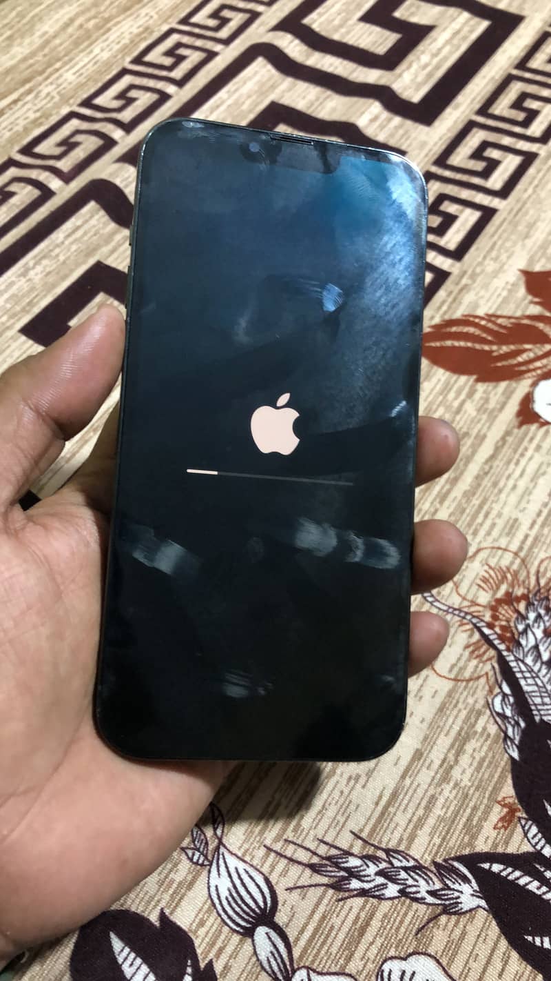 Apple iPhone 13 Pro Max 1
