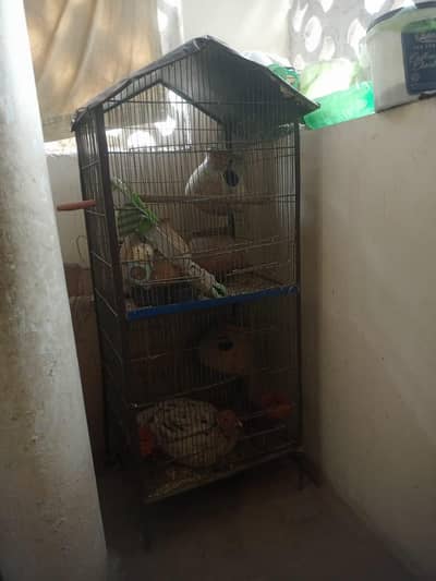 parrot cages