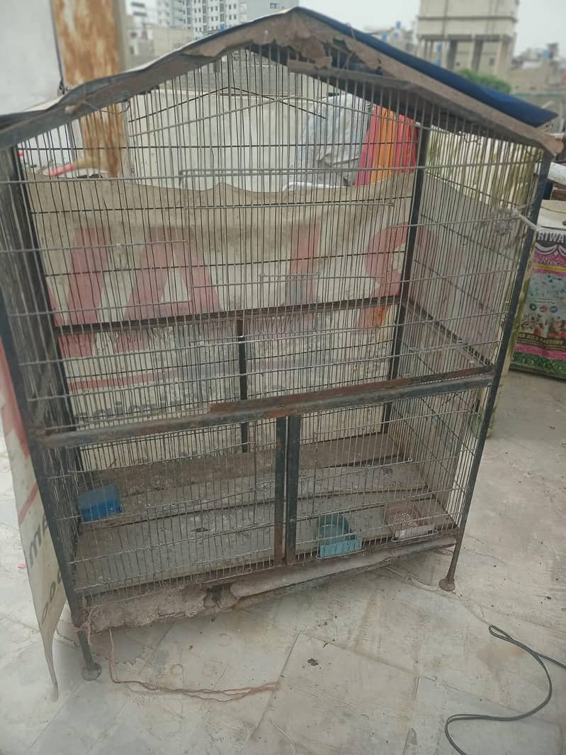 parrot cages 3