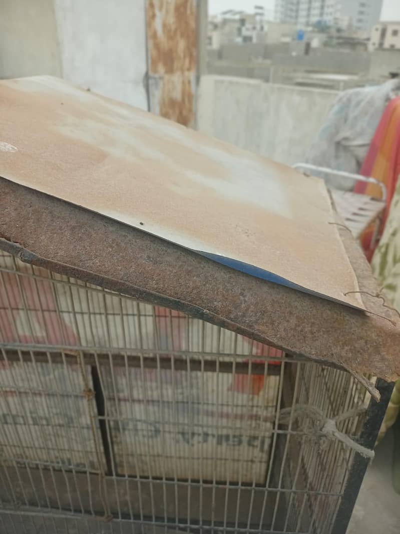 parrot cages 4