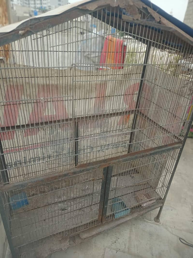 parrot cages 5