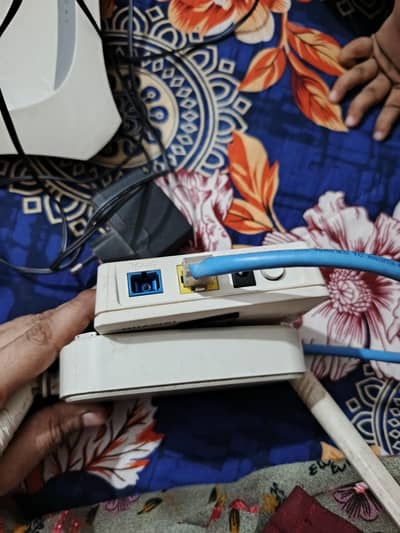 tenda and TP link device