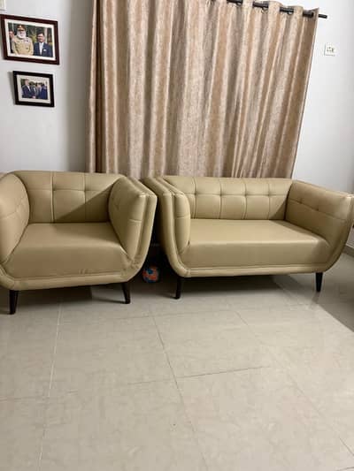 Skin Leather sofa set