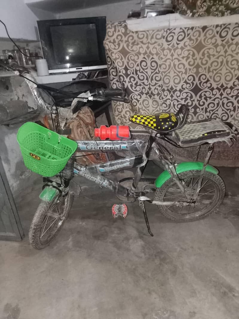 bicycle 1