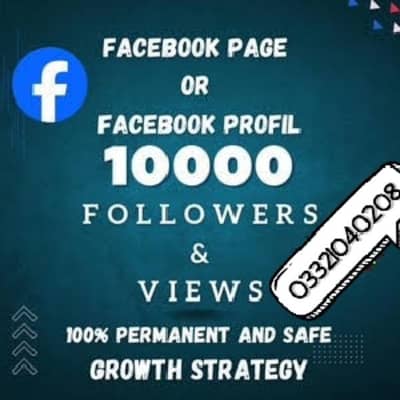 Facebook Page Followers Instagram Followers TikTok Followers Likes