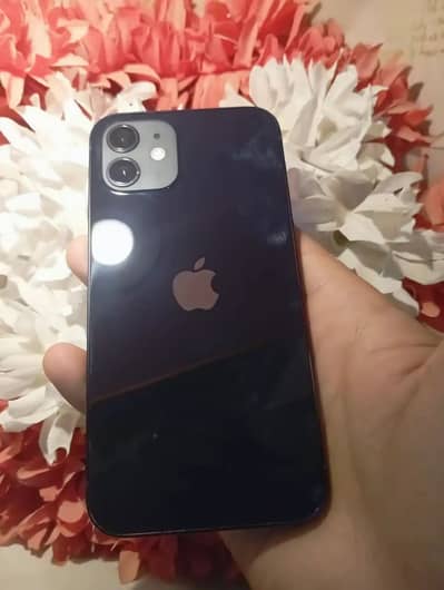 iPhone 12 factory unlocked 88 battery water pack