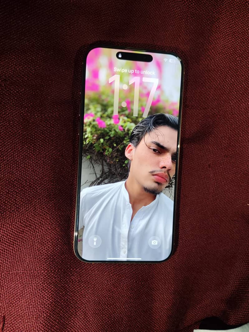 Apple iPhone 16 Pro Max 1