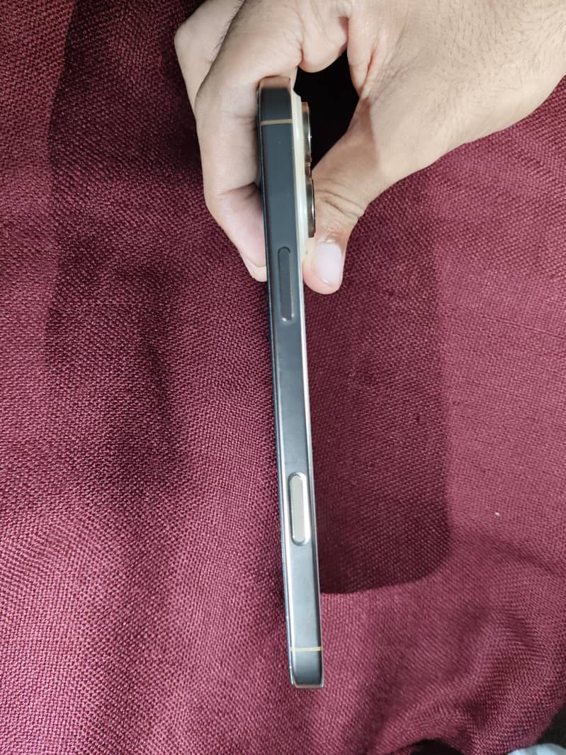 Apple iPhone 16 Pro Max 2