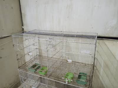 Folding Master Bird cage 36 x 18 inch