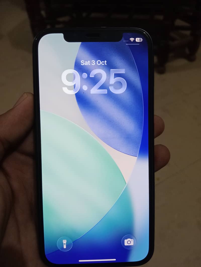 Apple iPhone 12 1